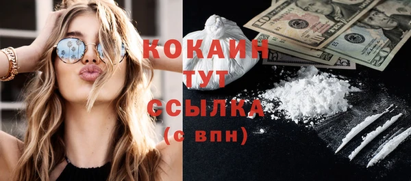 спиды Вяземский