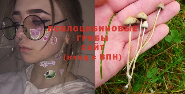 спиды Вяземский