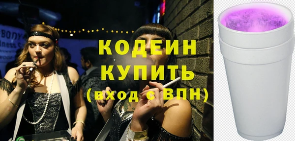 спиды Вяземский