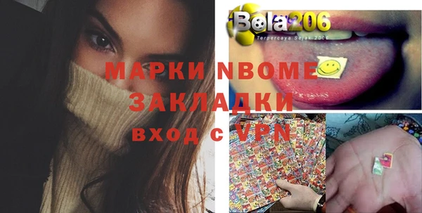 гашик Переславль-Залесский