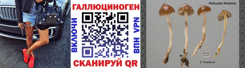 Галлюциногенные грибы GOLDEN TEACHER Верхний Тагил