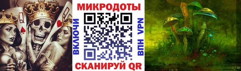 Галлюциногенные грибы MAGIC MUSHROOMS  где купить наркоту  Верхний Тагил 